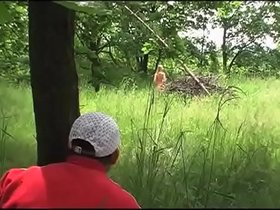 Violence in the woods for a young and hot blonde